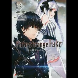 Fate/strange Fake vol.3 [Light Novel]