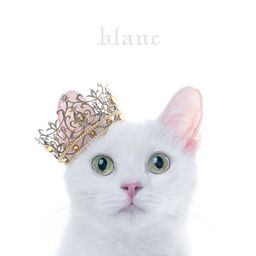 CD Album BEST SELECTION "blanc" (Regular Edition)