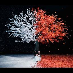 CD Single Akanesasu / Everlasting Snow (Regular Edition)