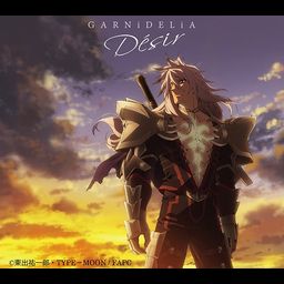 CD + DVD Single Desir (Limited Pressing)