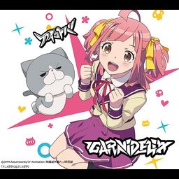 CD + DVD Single Aikotoba (Limited Pressing)