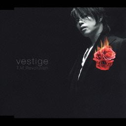 CD Single vestige ("Moible Suit Gundam SEED Destiny" Theme Song)