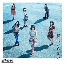 CD+DVD Single Tsubasa wa Iranai [Type C] [Regular Edition]