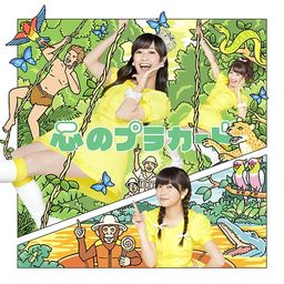 CD+DVD Single Kokoro no Placard [Type C / Regular Edition]