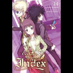 Light Novel A Certain Magical Index Vol. 14
